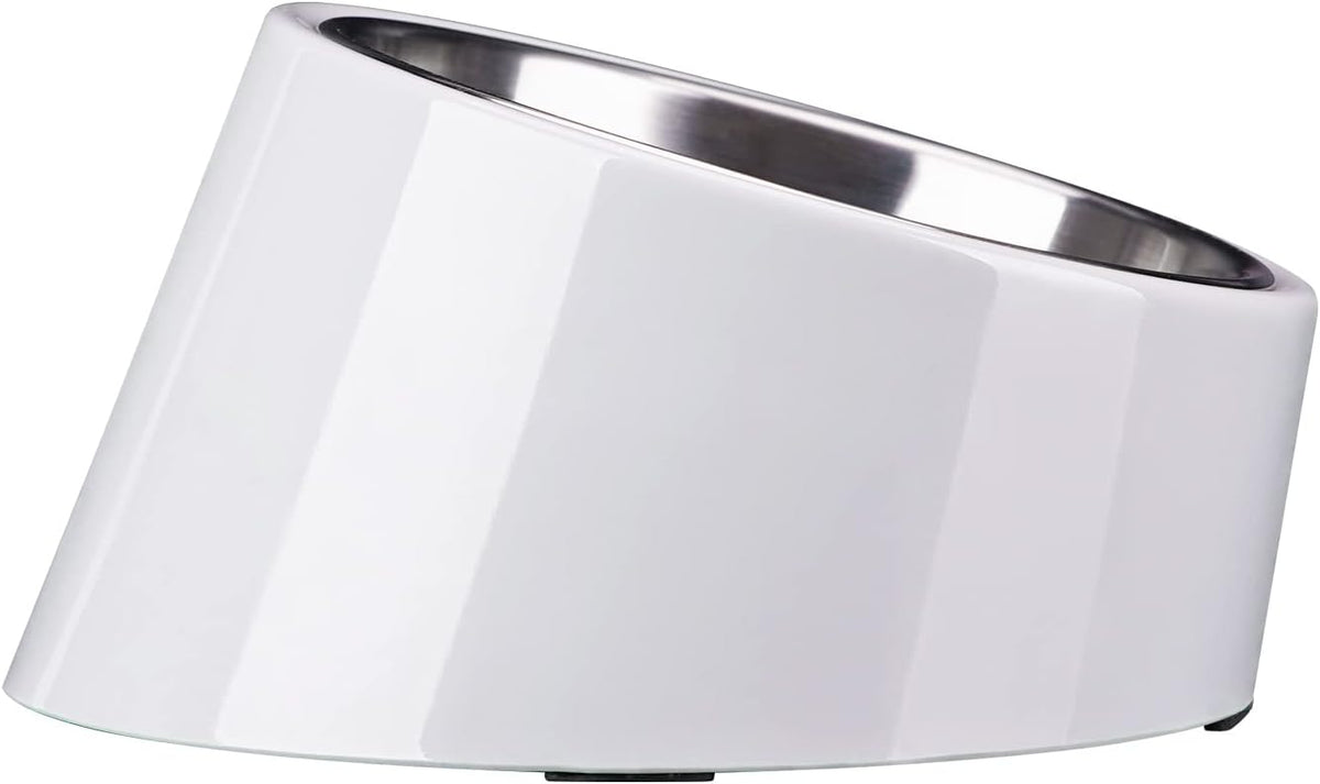 SuperDesign Slanted Stainless-Steel Pet Bowl