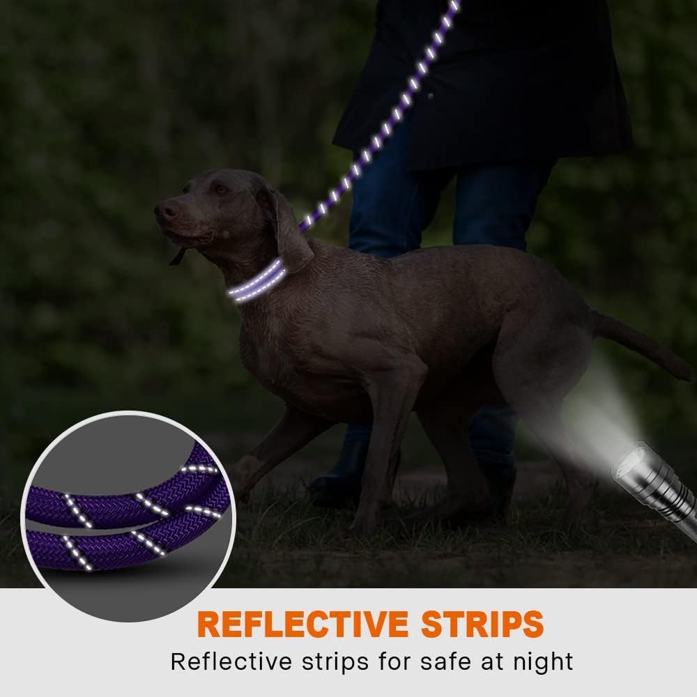 Taglory Rope Dog Lead with Padded Handle