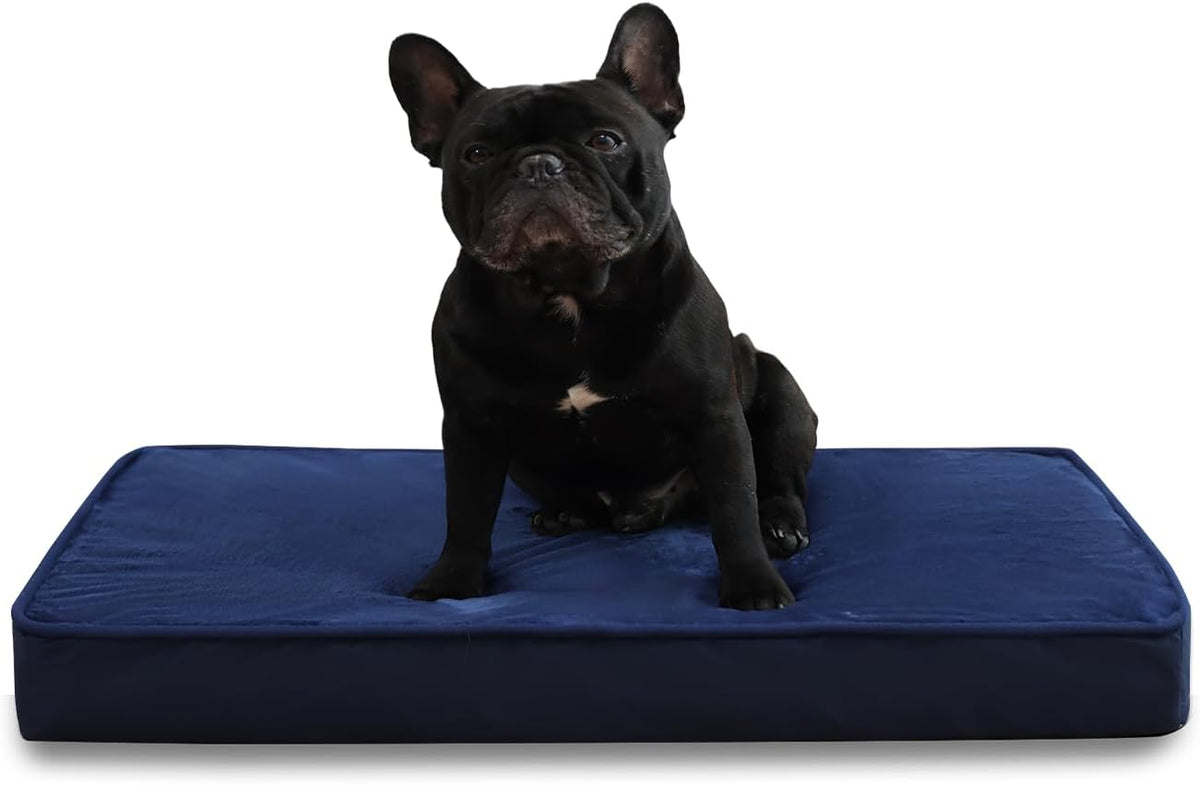Jaspuriea Foam Dog Bed with Removable Cover