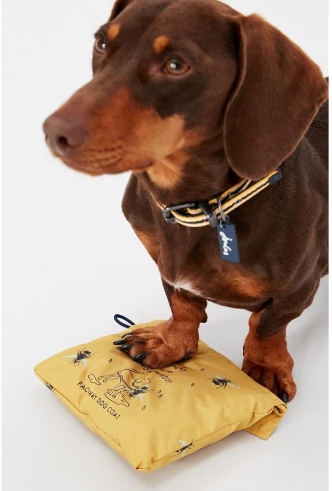 Rosewood Joules Go Lightly Packaway Dog Jacket