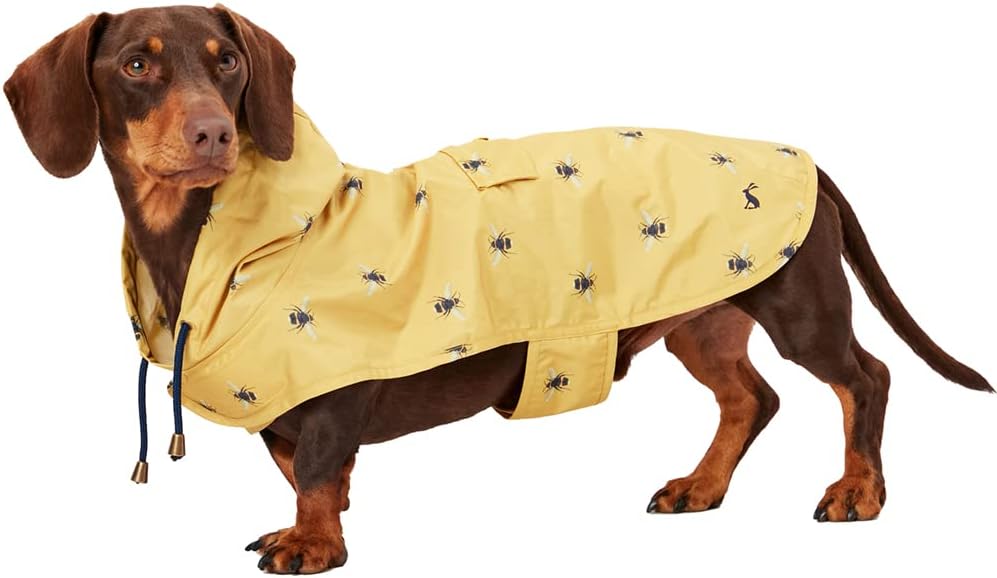 Rosewood Joules Go Lightly Packaway Dog Jacket