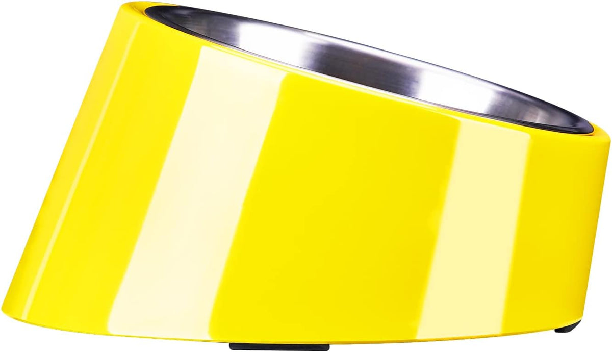 SuperDesign Slanted Stainless-Steel Pet Bowl