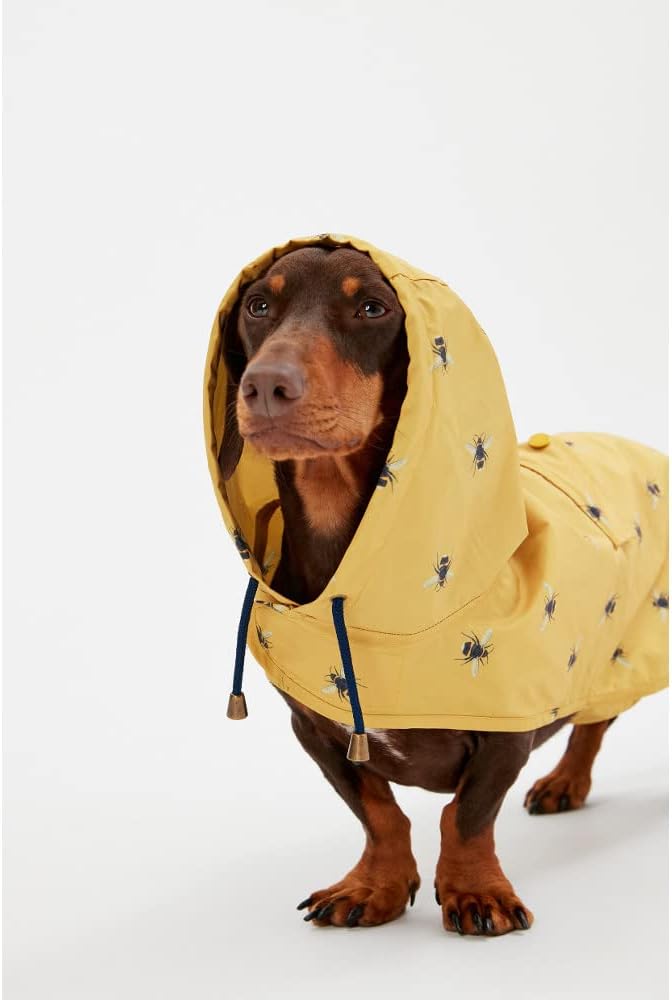Rosewood Joules Go Lightly Packaway Dog Jacket