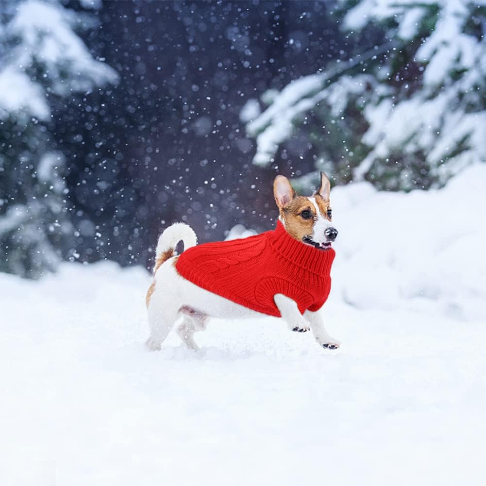 Knitted Jumper for Small Dogs