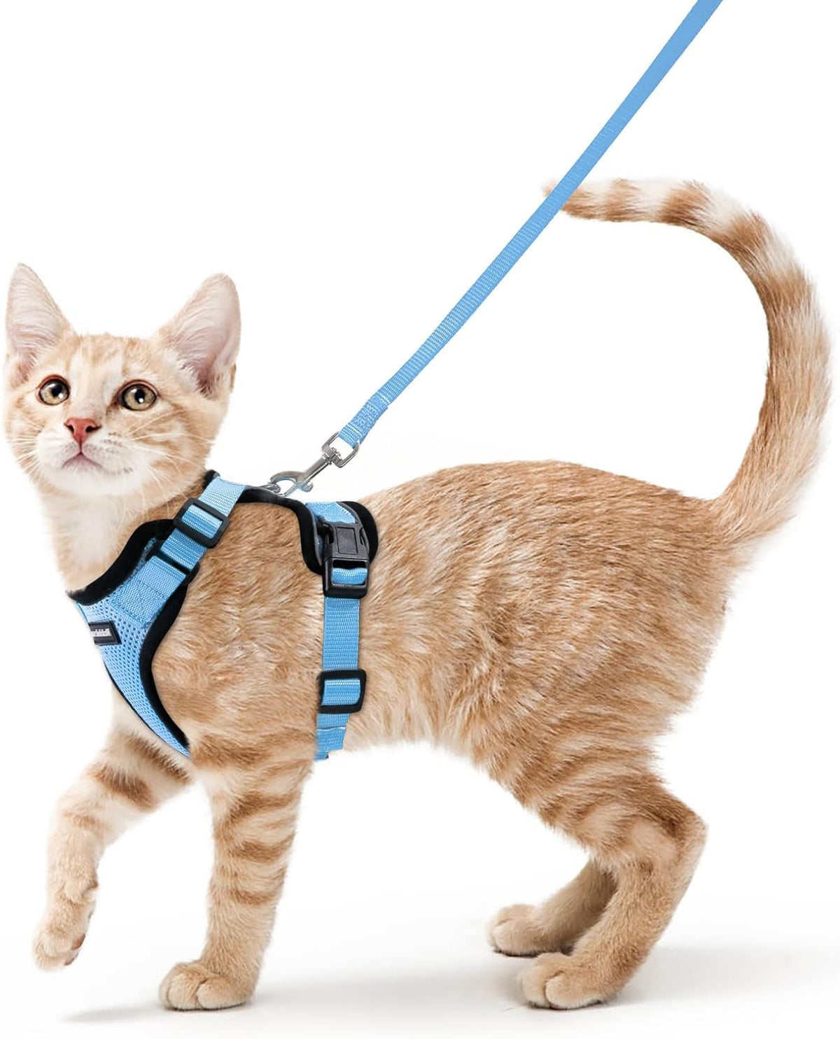 rabbitgoo Adjustable Cat Harness and Lead Set