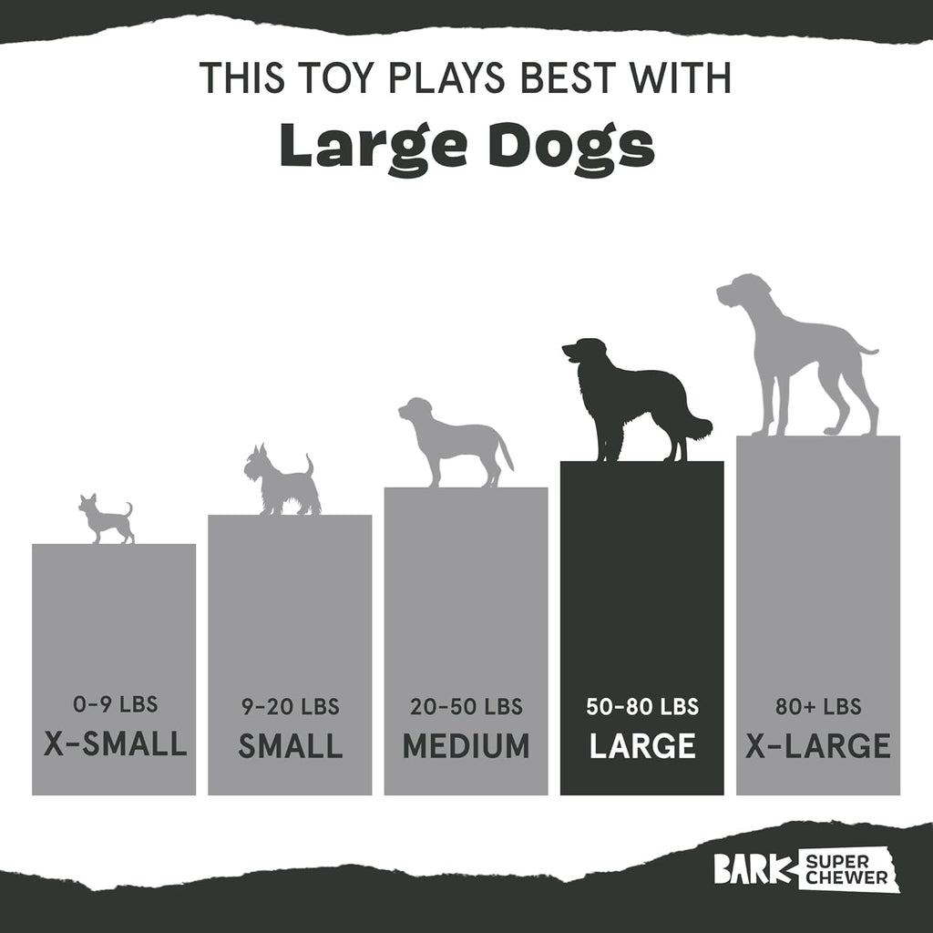 BarkBox Squeaky Plush Dog Toys