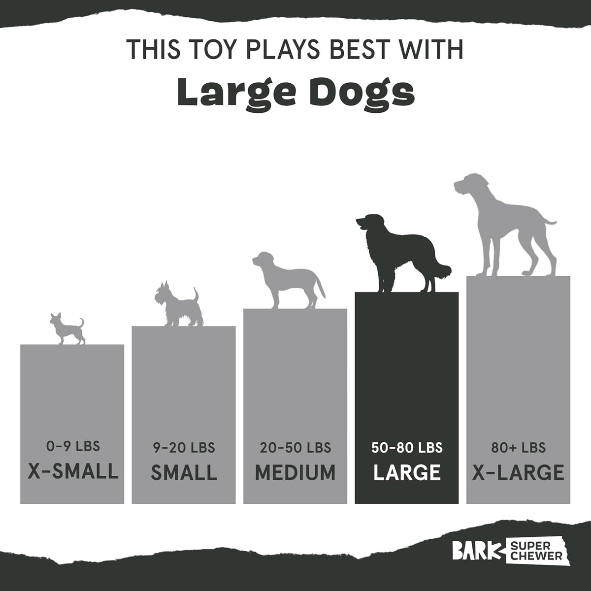 BarkBox Squeaky Plush Dog Toys