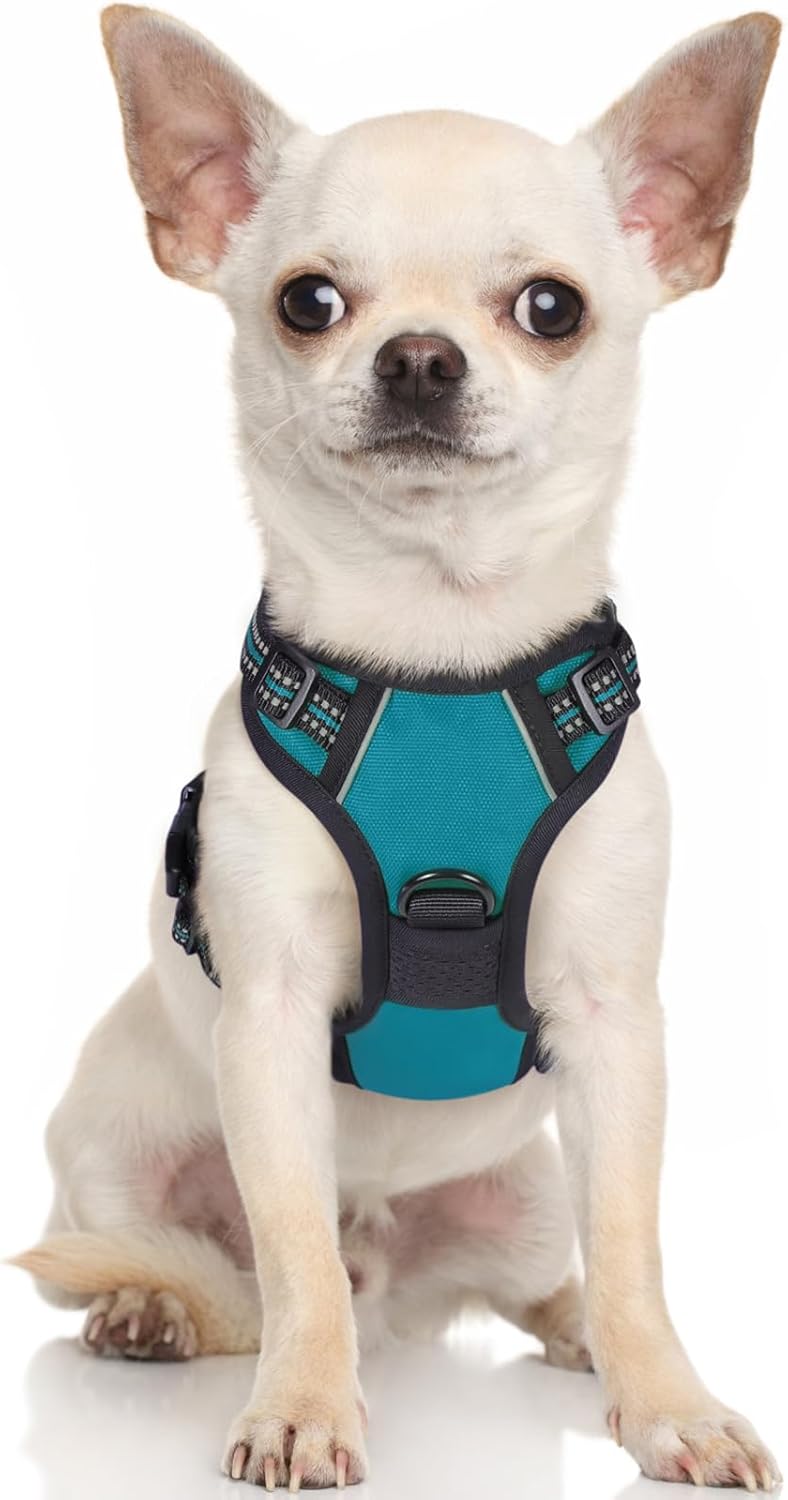 rabbitgoo Padded Dog Harness with Two Lead Clips