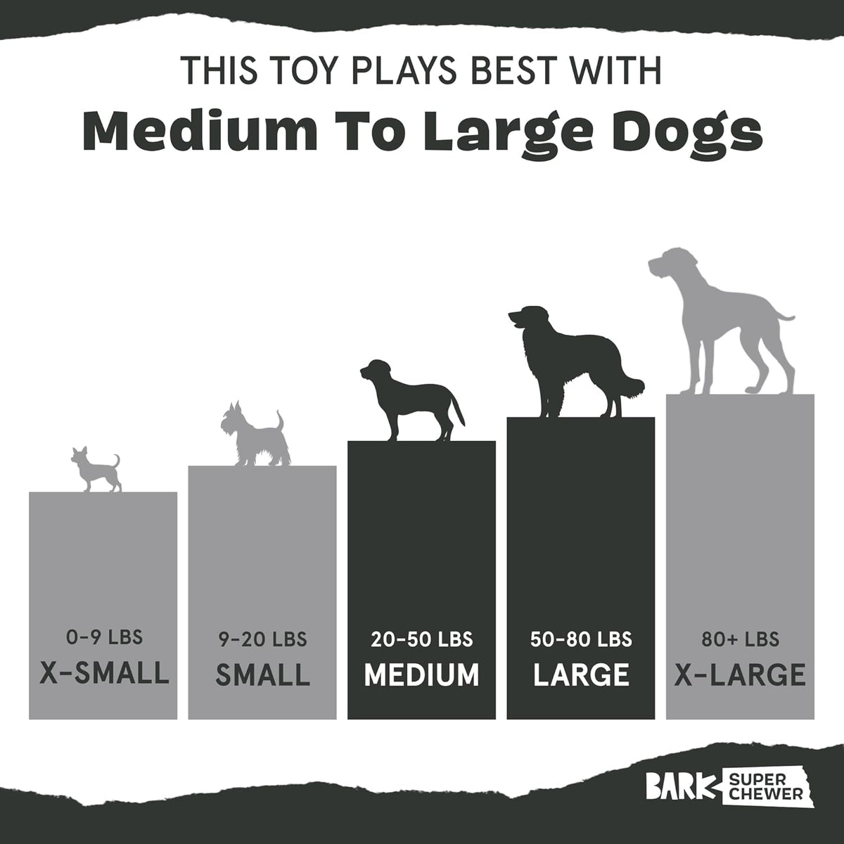 BarkBox Squeaky Plush Dog Toys