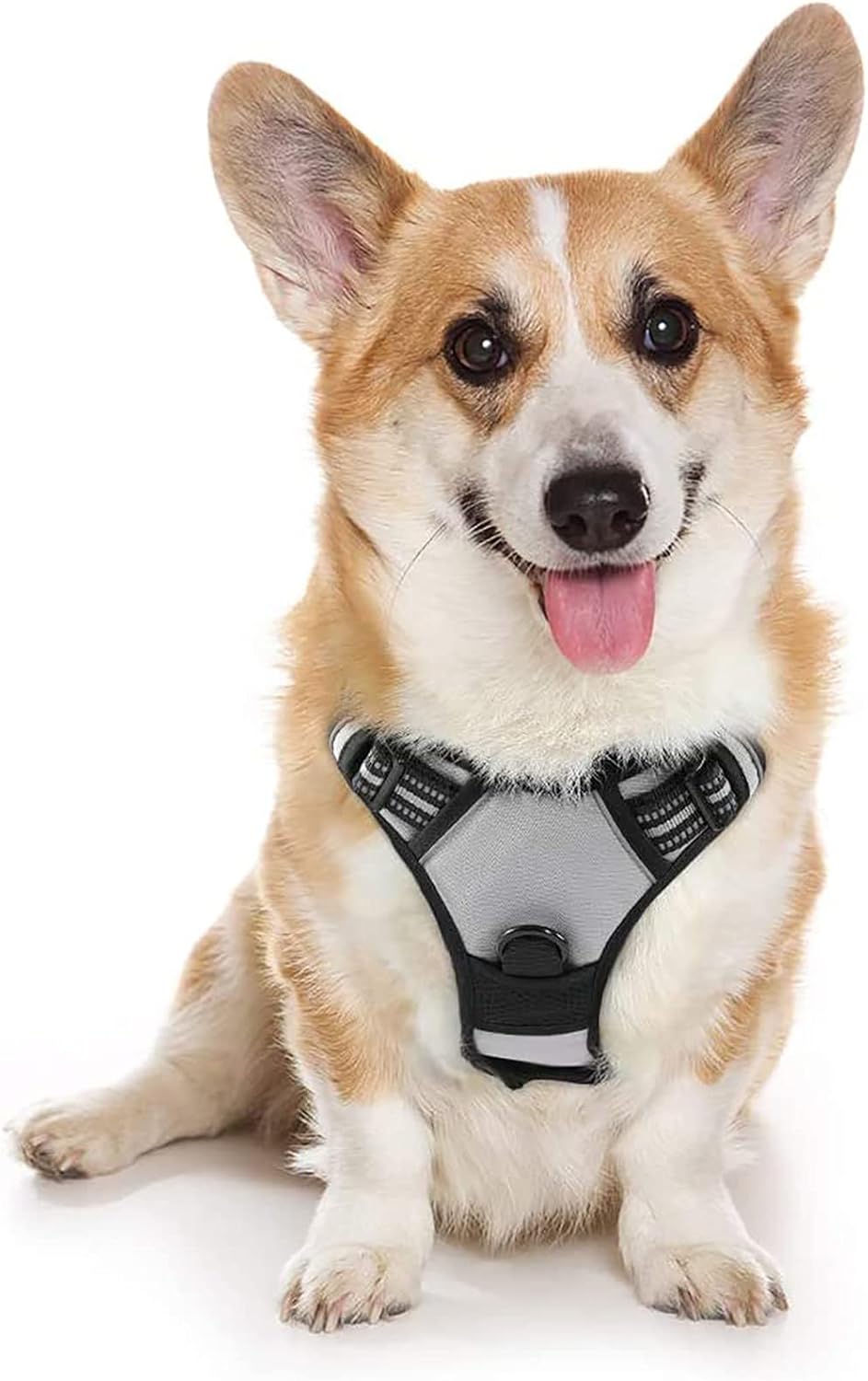 rabbitgoo Padded Dog Harness with Two Lead Clips
