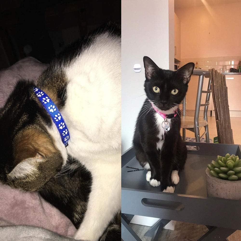 Reflective Cat Collars with Bells, Pack of 12