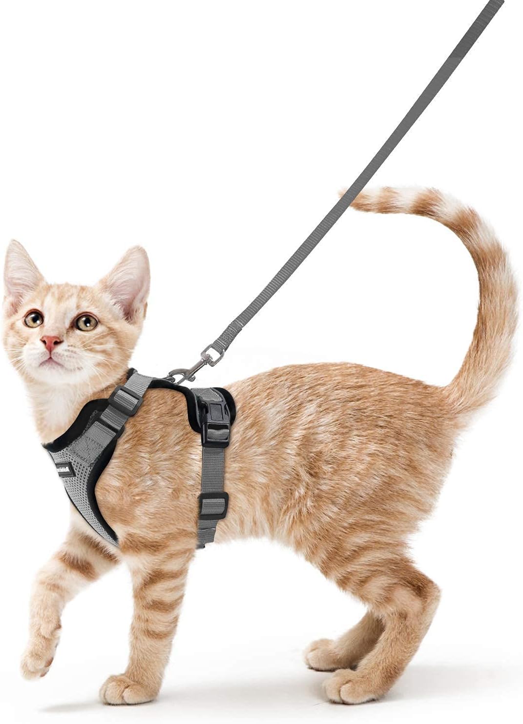 rabbitgoo Adjustable Cat Harness and Lead Set