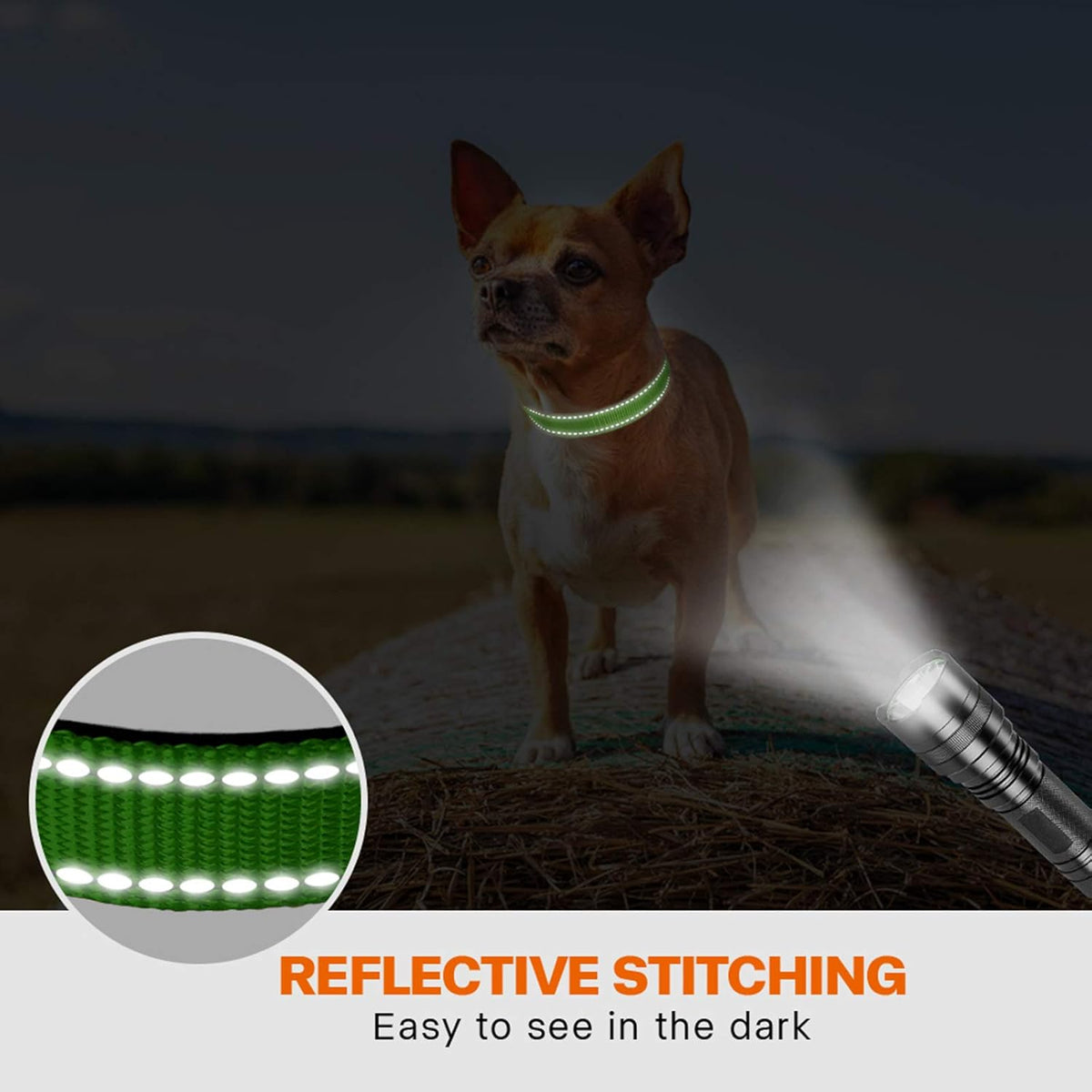 Taglory Reflective Nylon Dog Collar
