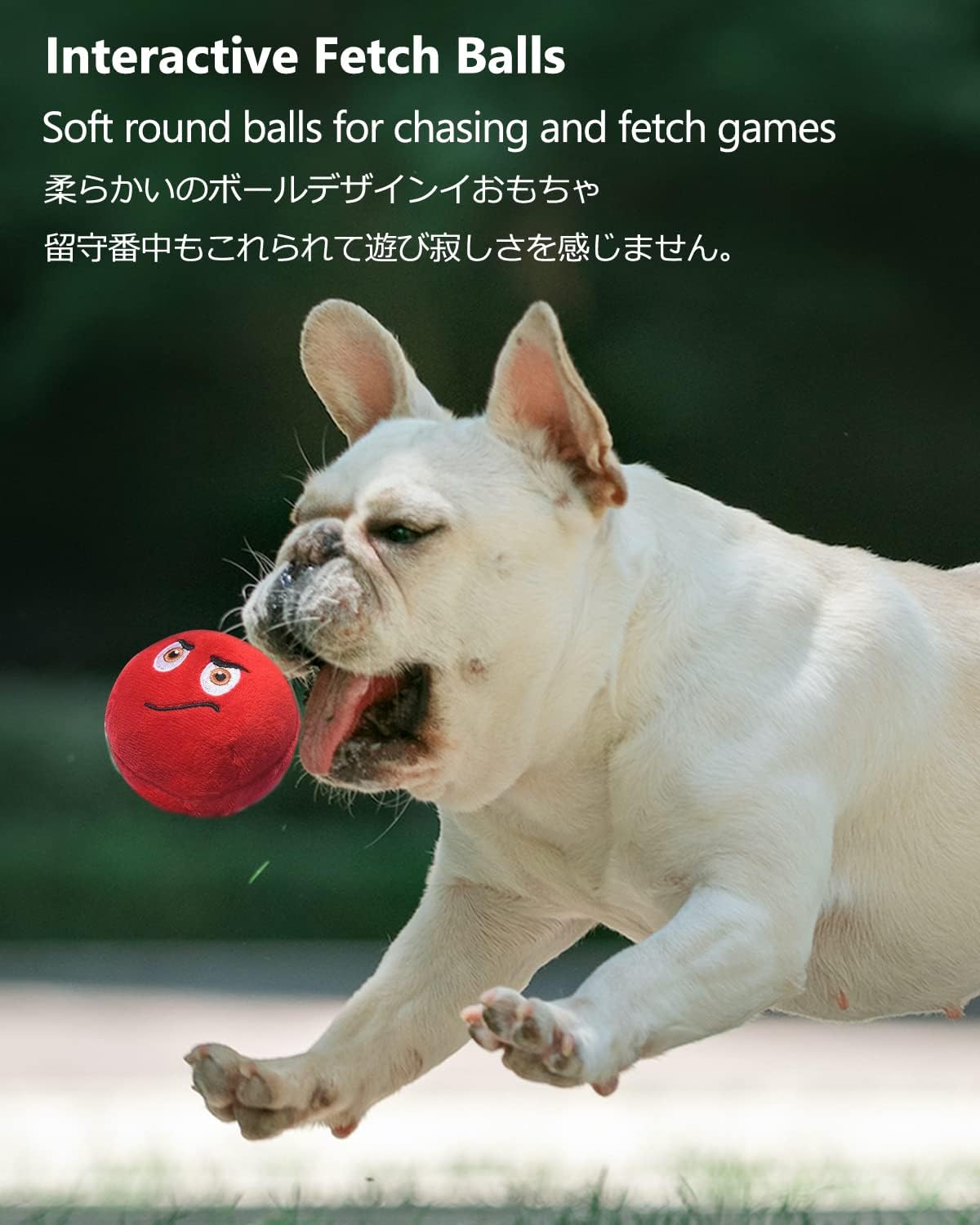 TONGKTAI Squeaky Plush Ball Toys for Small Dogs