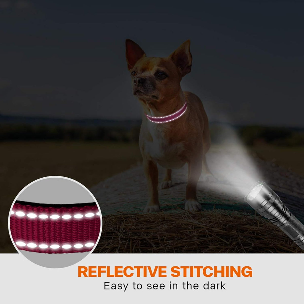 Taglory Reflective Nylon Dog Collar