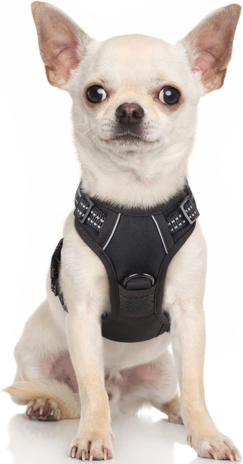 rabbitgoo Padded Dog Harness with Two Lead Clips