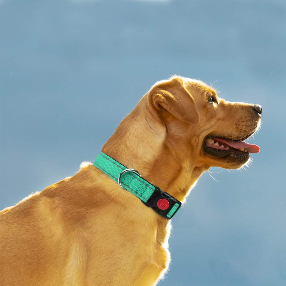 Taglory Reflective Nylon Dog Collar