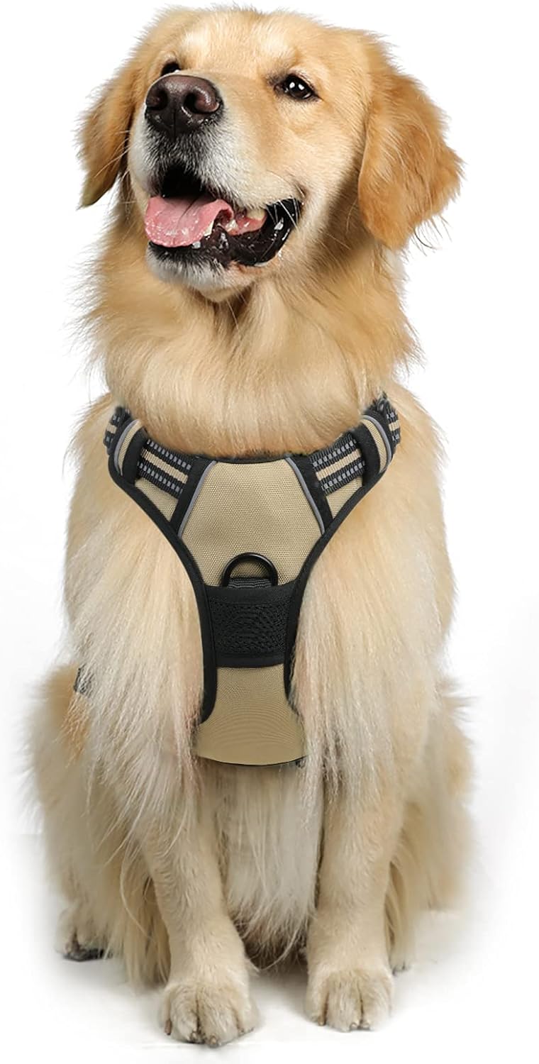 rabbitgoo Padded Dog Harness with Two Lead Clips