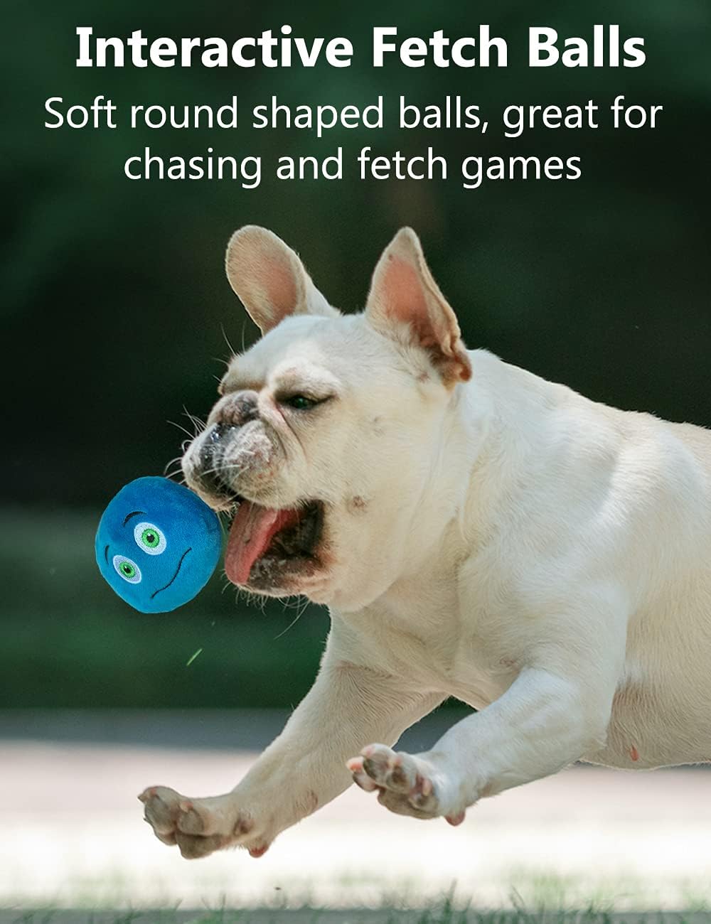 TONGKTAI Squeaky Plush Ball Toys for Small Dogs