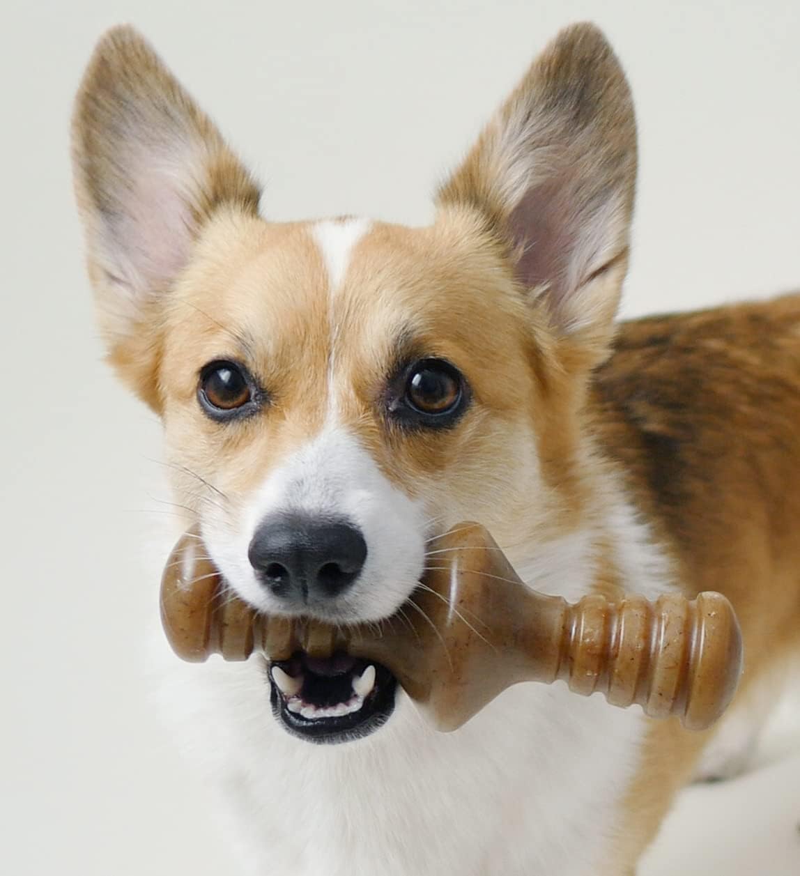 Benebone Dog Chew Toy Multipacks