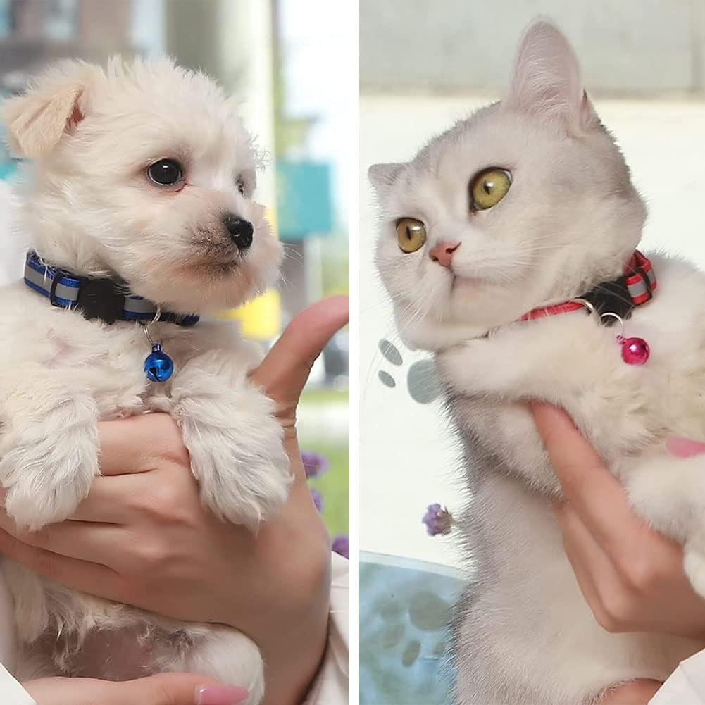 GingerUPer Reflective Cat Collar Multipacks
