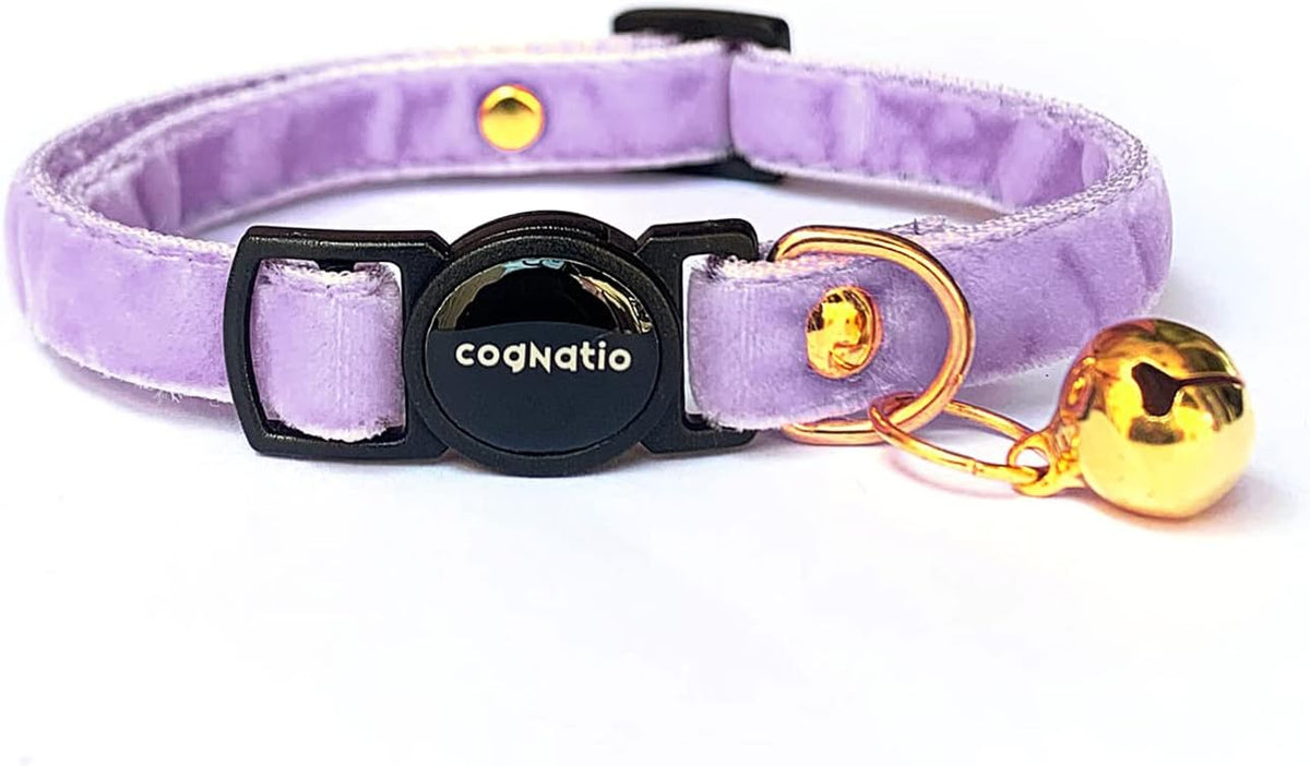 Cognatio Corduroy Breakaway Cat Collar