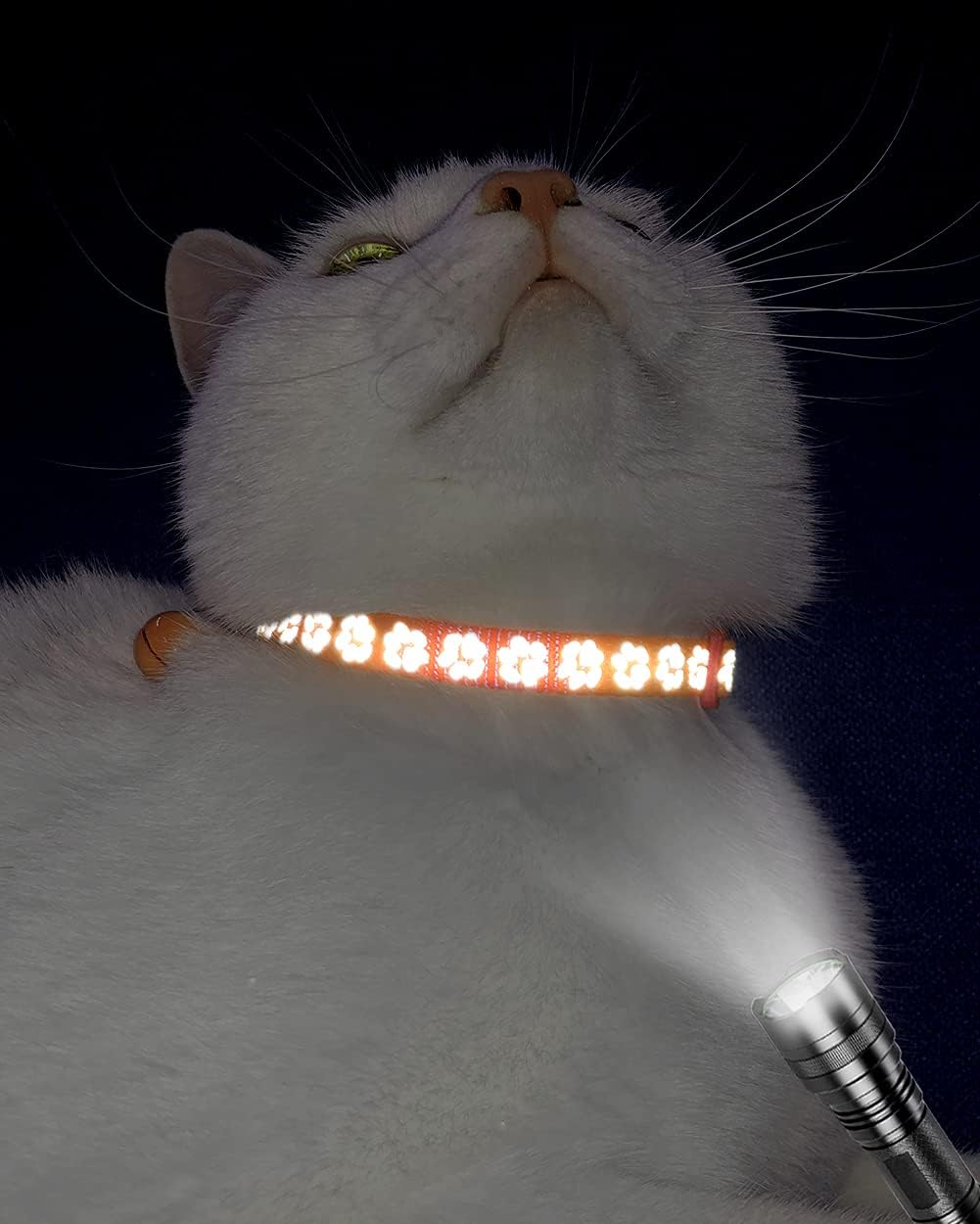 Taglory Reflective Cat Collars with Bells, Pack of 2
