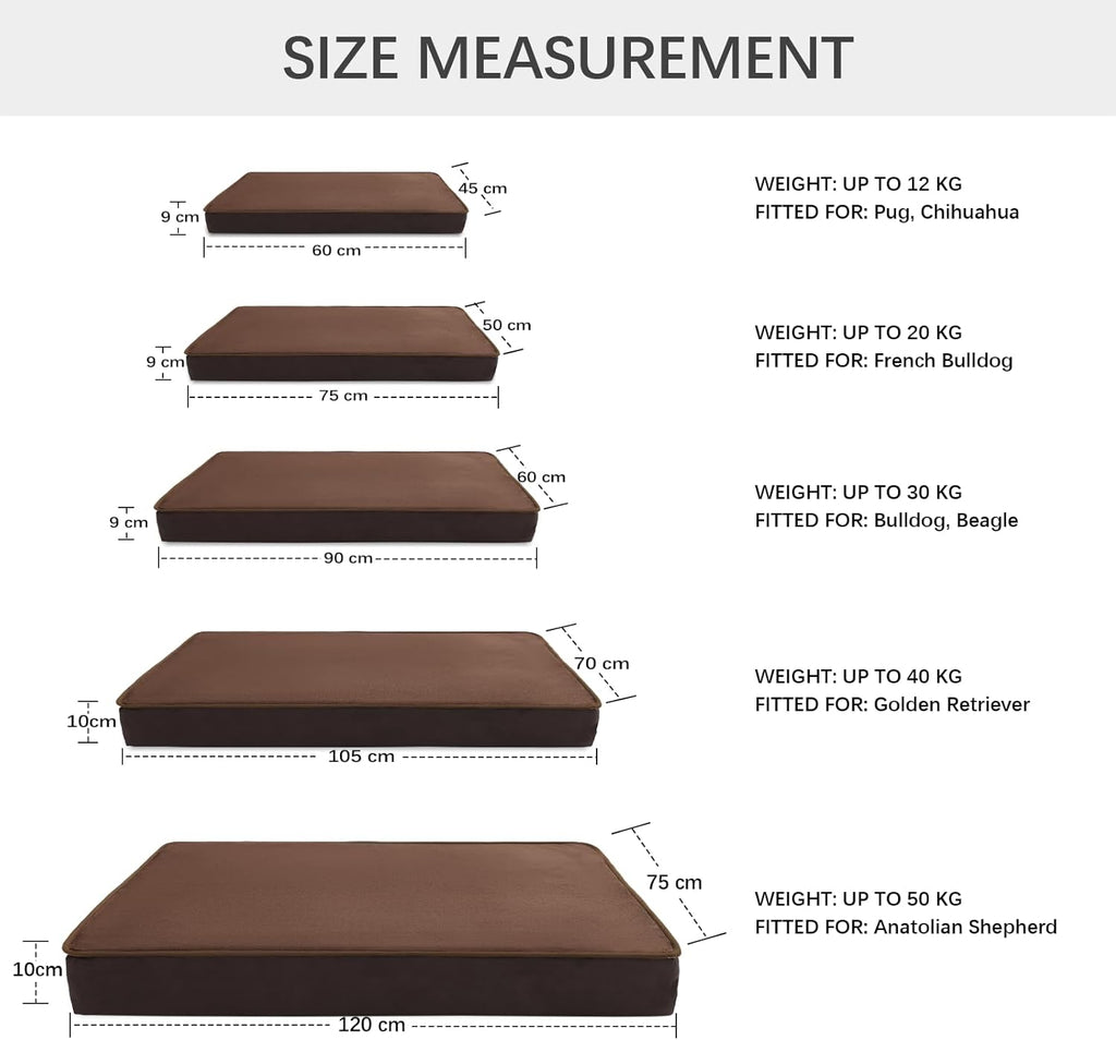 Jaspuriea Foam Dog Bed with Removable Cover