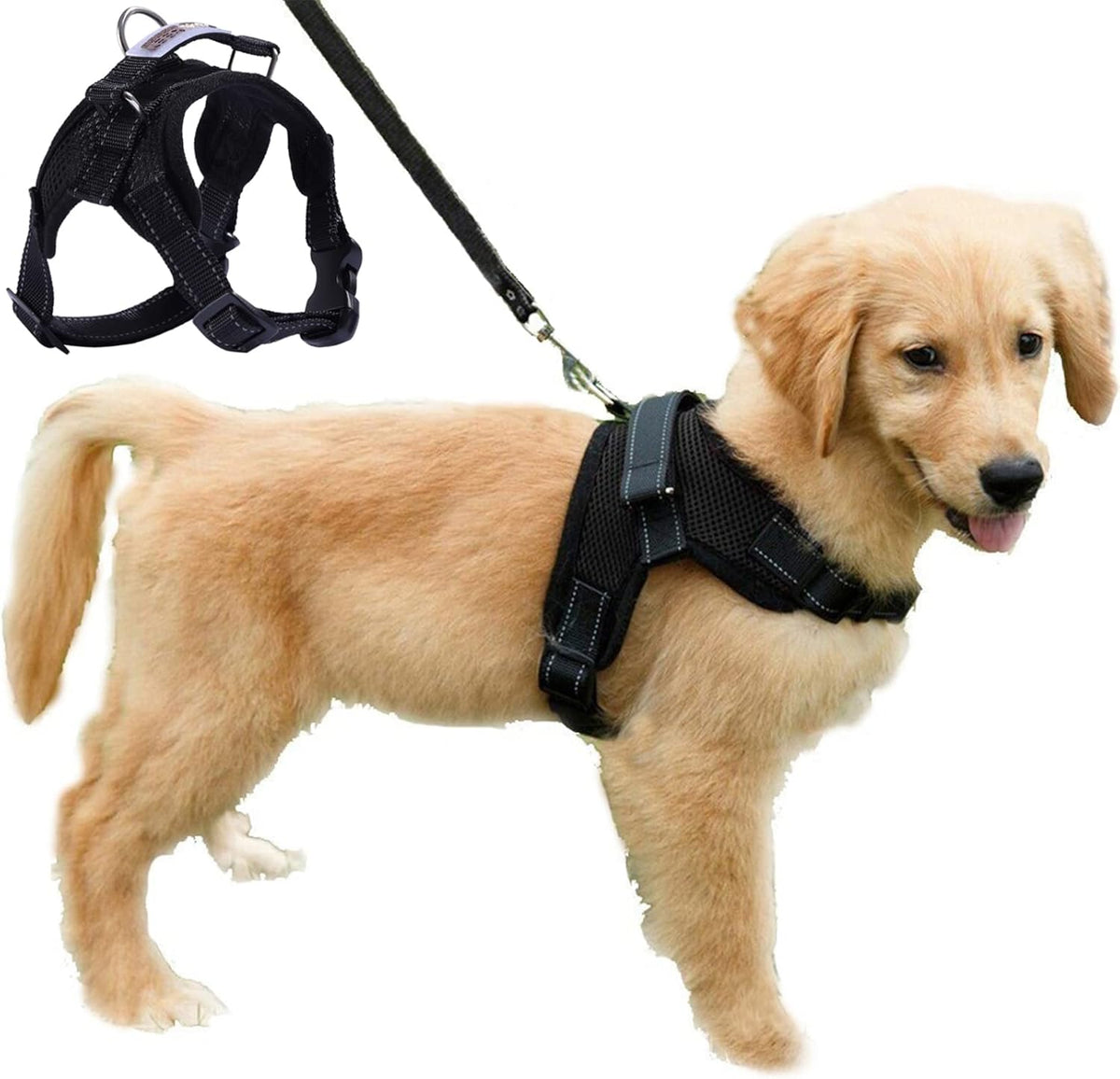 FUNKEEN PET HOUSE Mesh Dog Harness