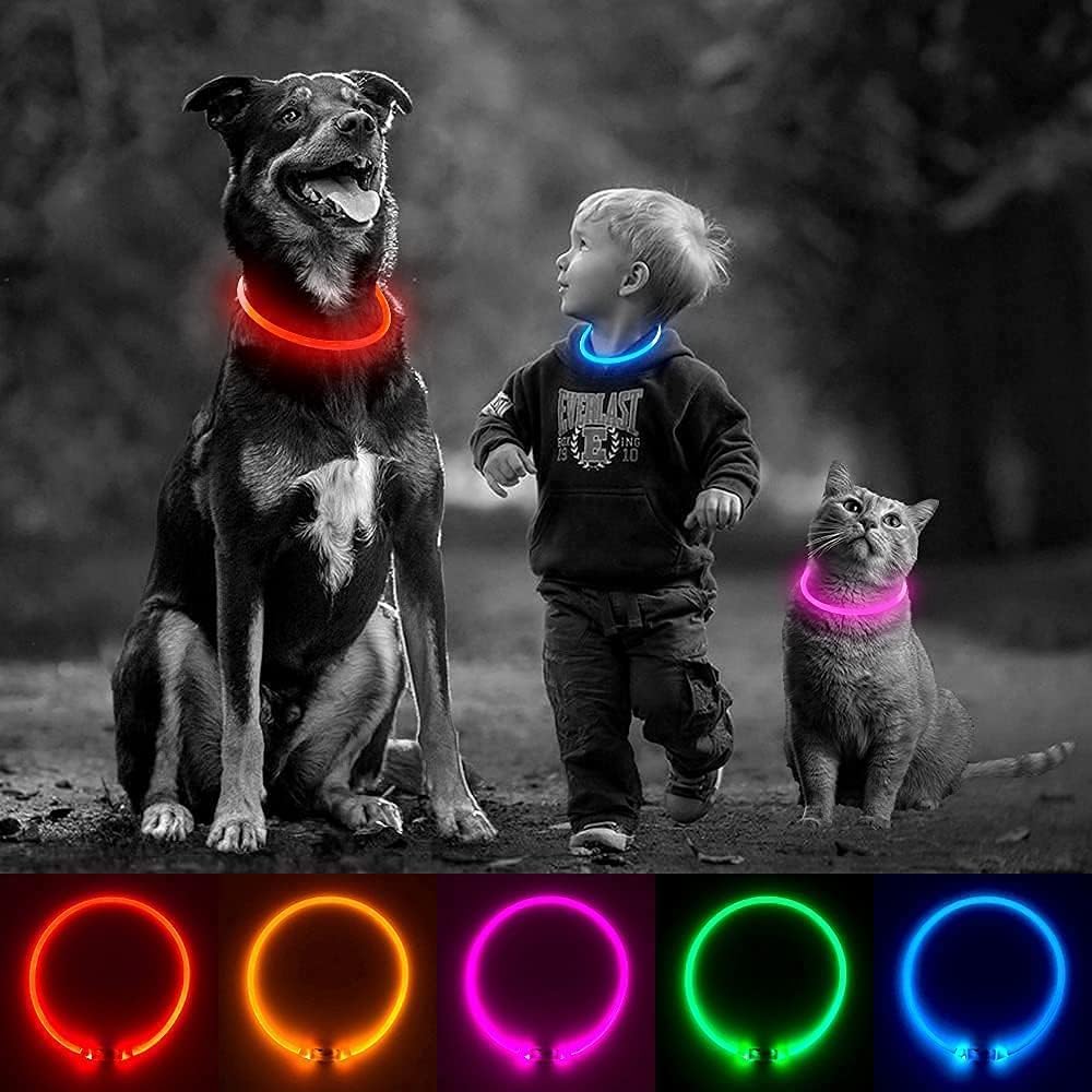 SerDa-Run Light-Up Dog Collar