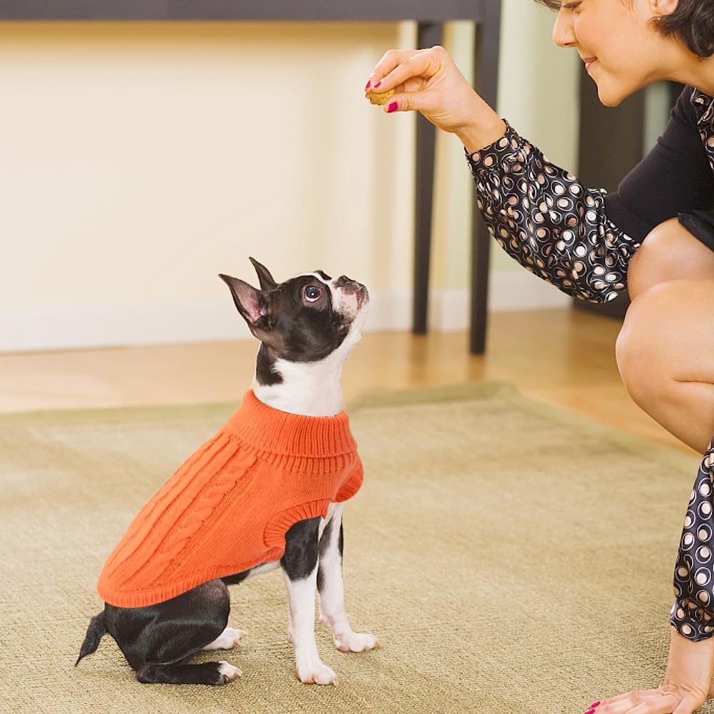 Knitted Jumper for Small Dogs