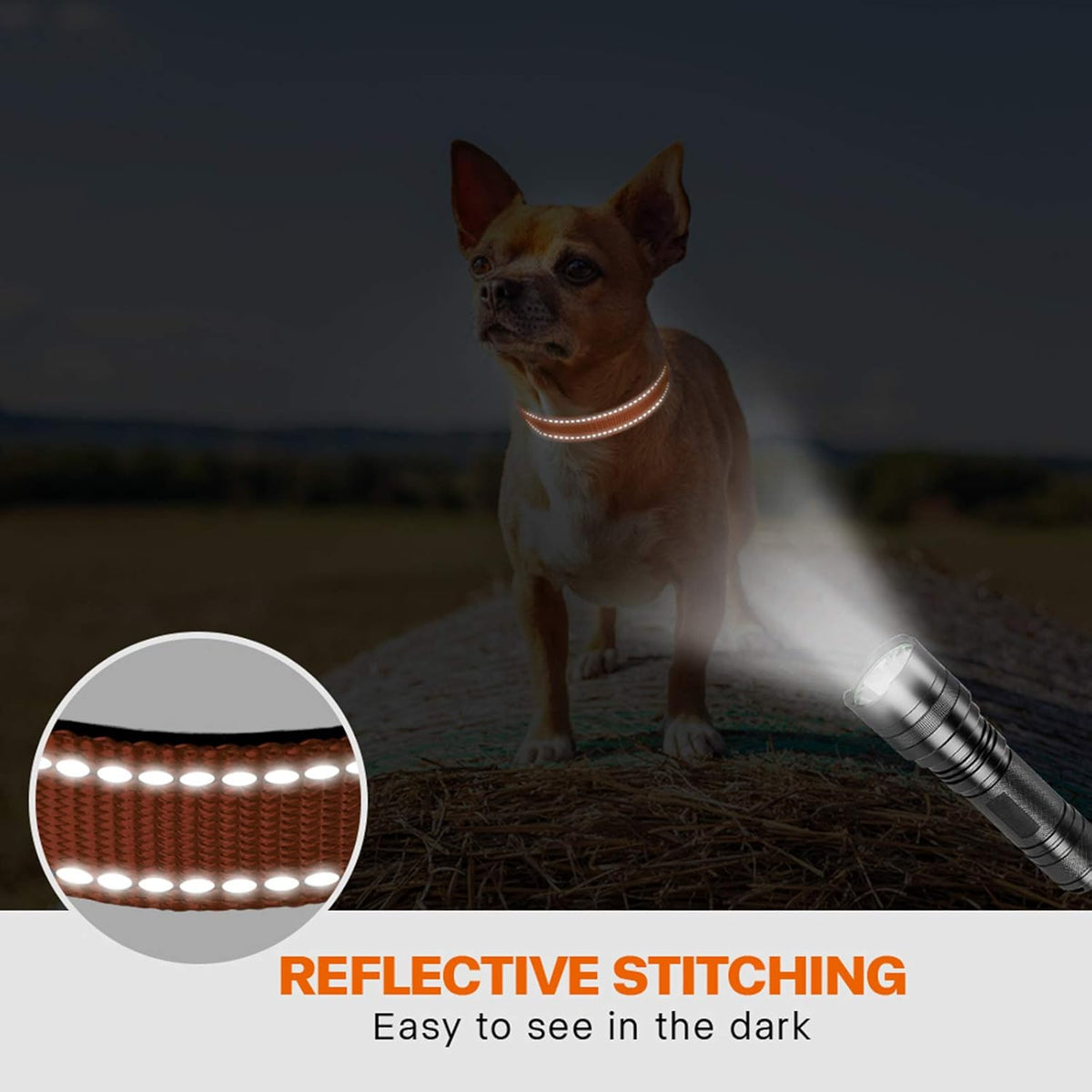 Taglory Reflective Nylon Dog Collar