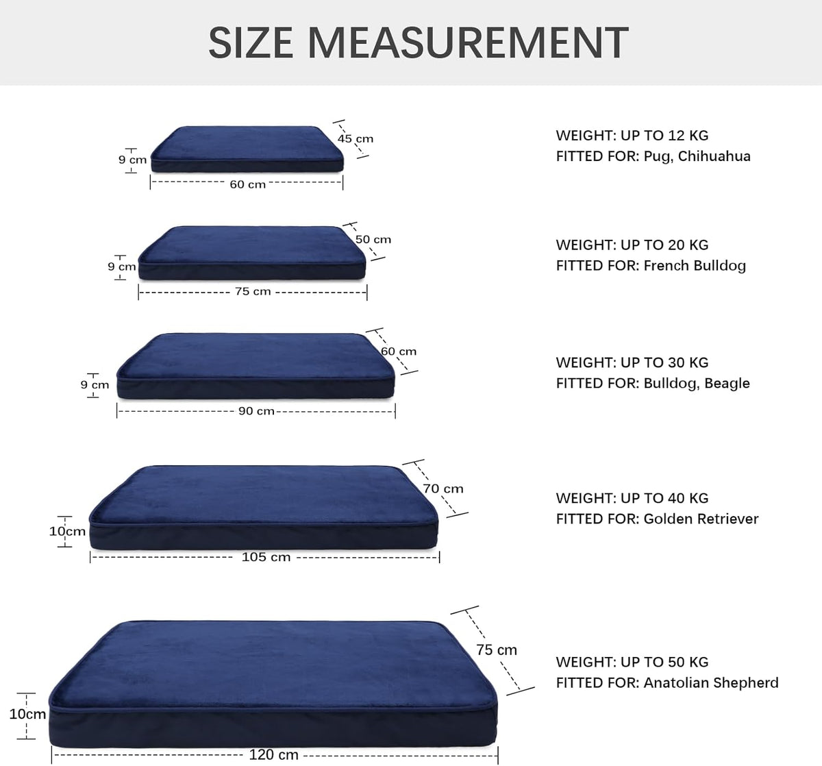 Jaspuriea Foam Dog Bed with Removable Cover
