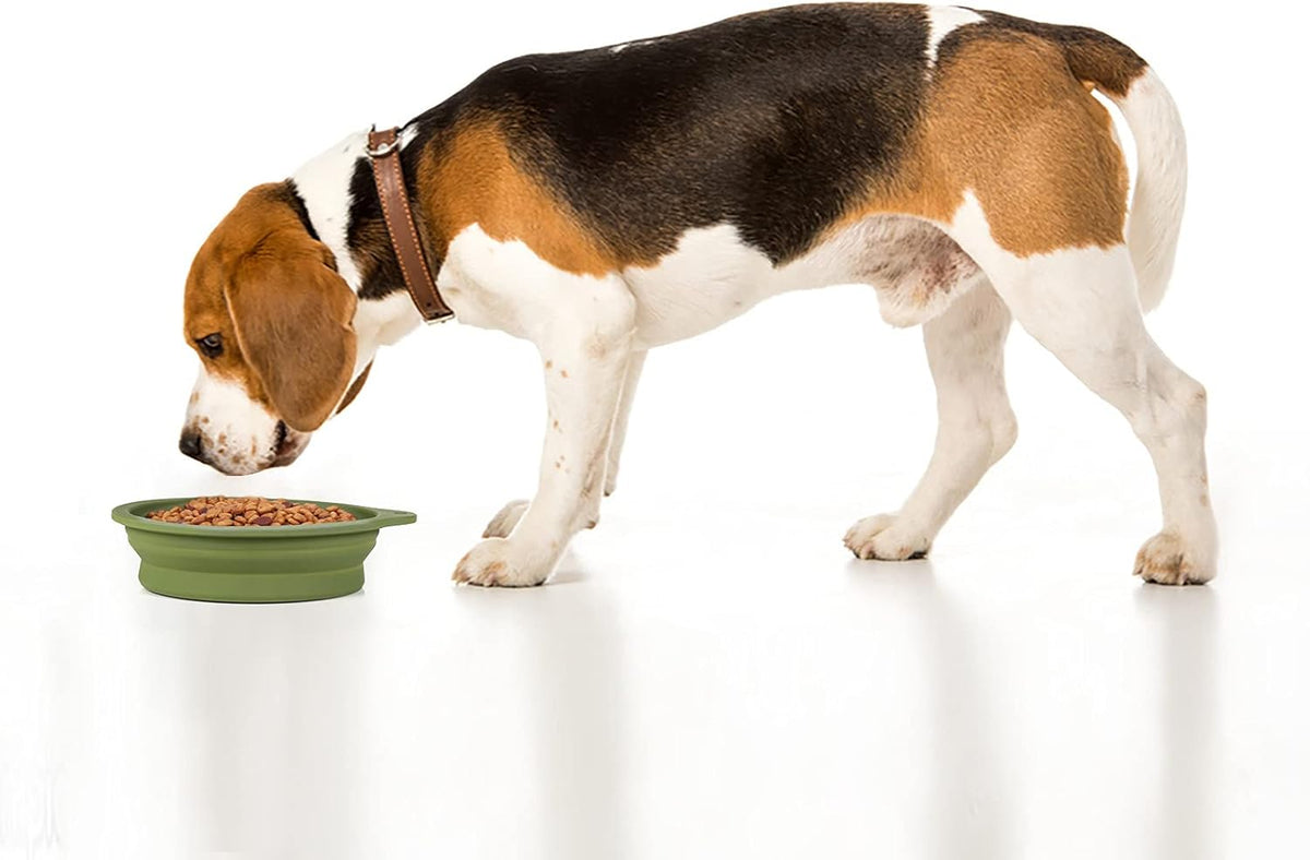 SLSON Collapsible Pet Travel Bowls, Pack of 2
