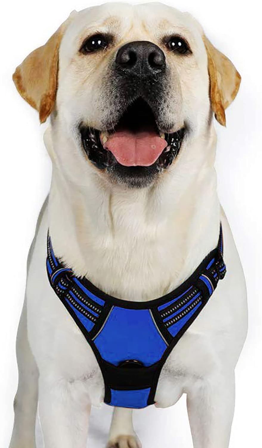 rabbitgoo Padded Dog Harness with Two Lead Clips