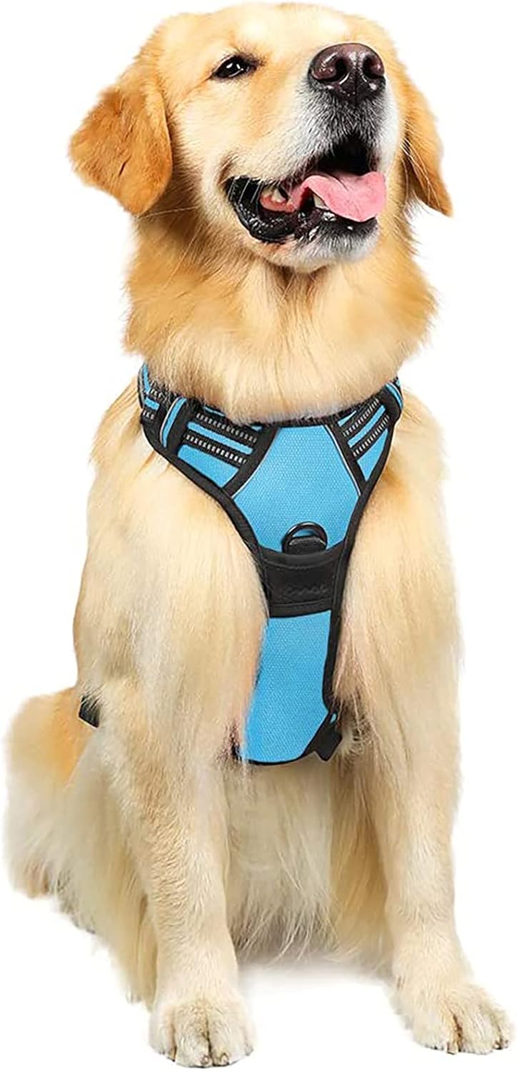 rabbitgoo Padded Dog Harness with Two Lead Clips