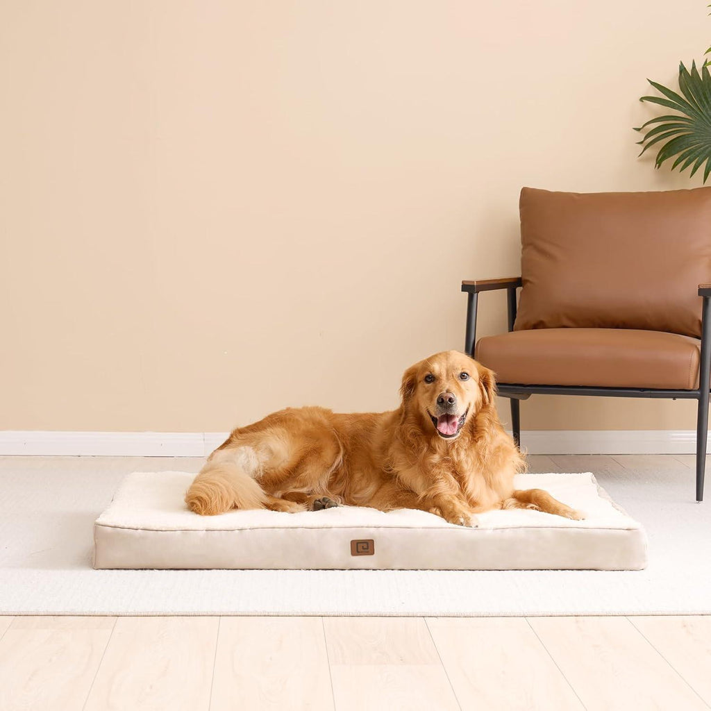 EHEYCIGA Foam Dog Mattress with Removable Cover