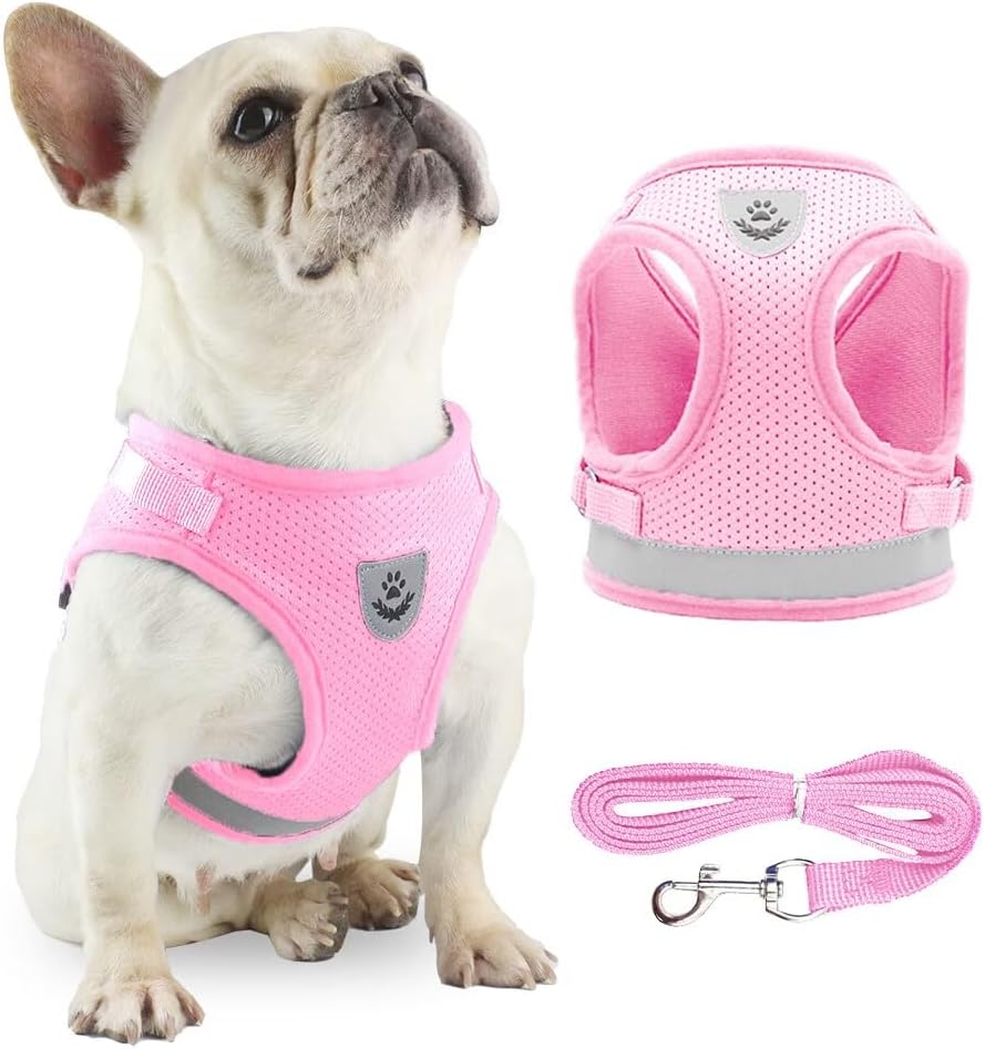 Anlitent Mesh Pet Harness and Lead Set