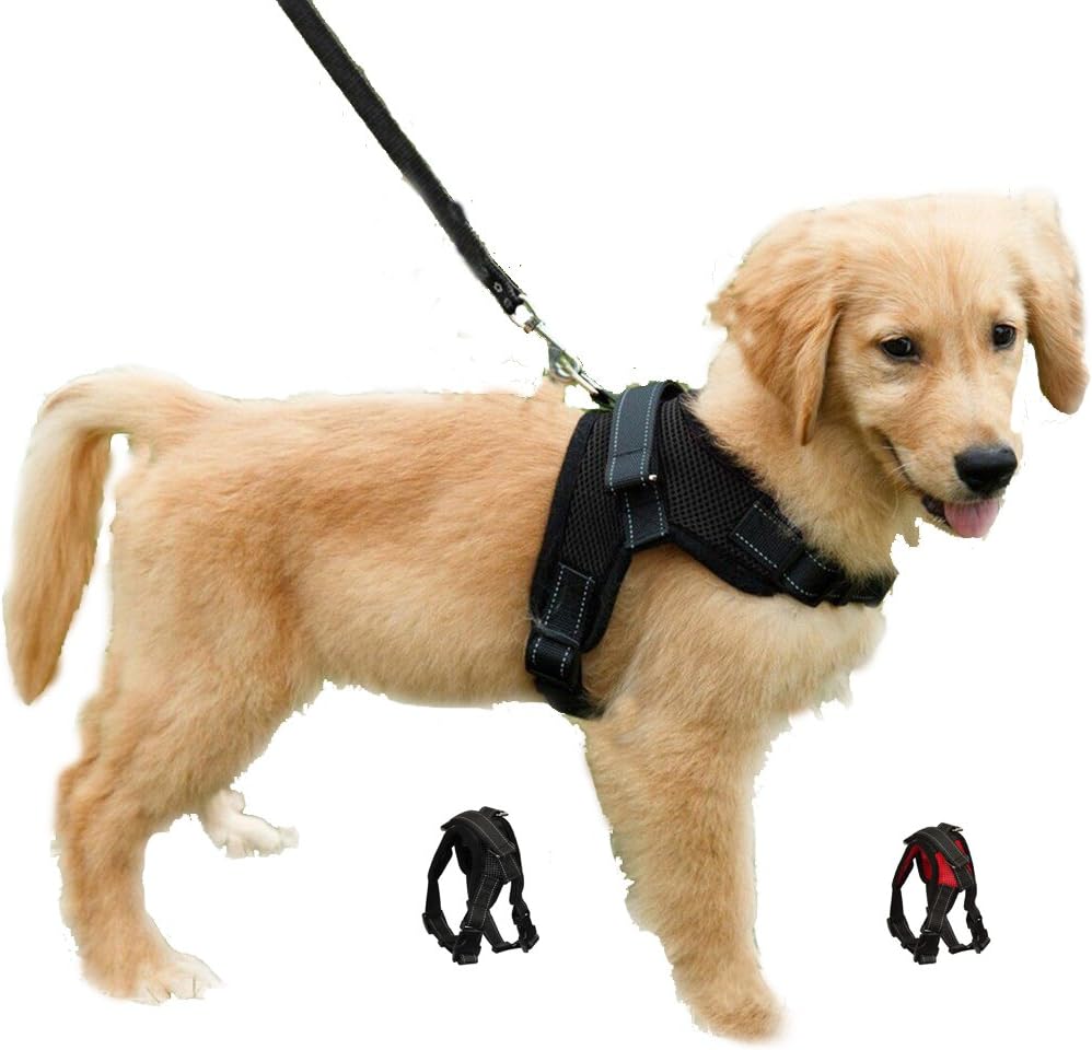 FUNKEEN PET HOUSE Mesh Dog Harness