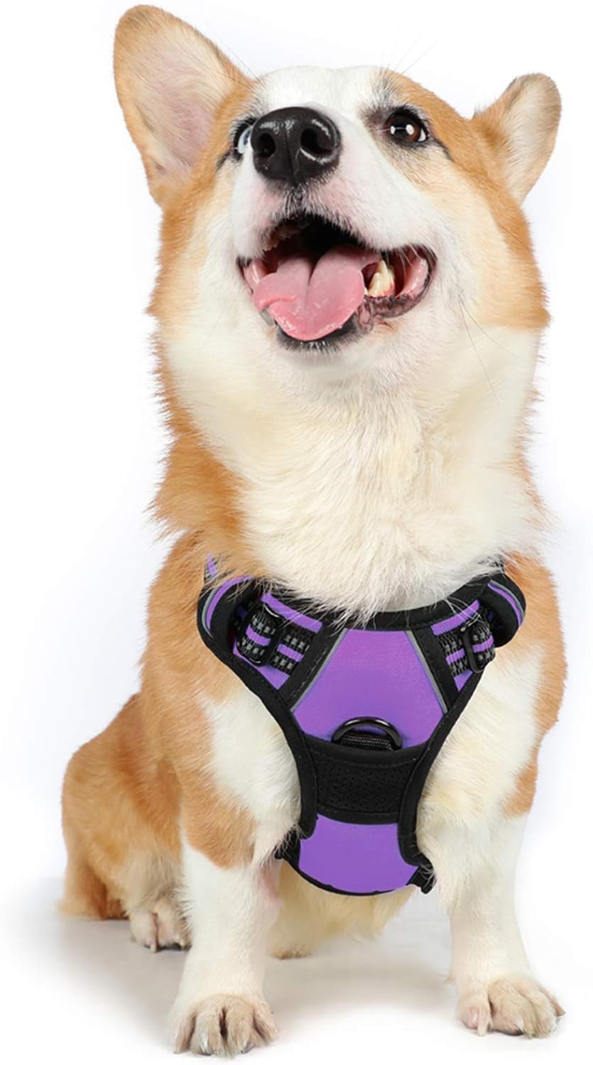 rabbitgoo Padded Dog Harness with Two Lead Clips