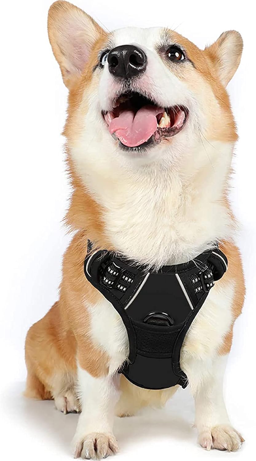 rabbitgoo Padded Dog Harness with Two Lead Clips