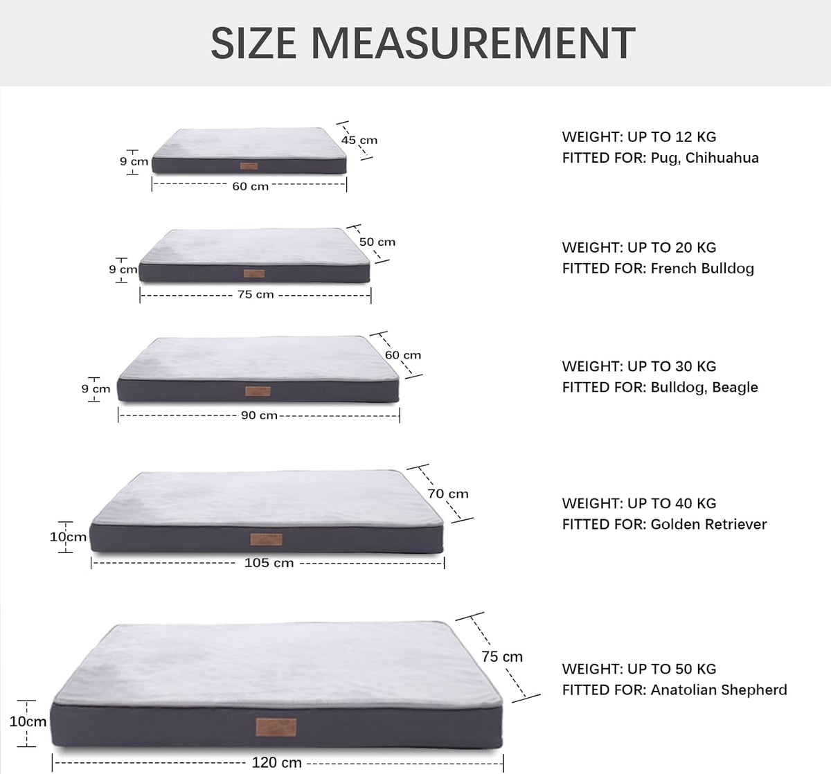 Jaspuriea Foam Dog Bed with Removable Cover