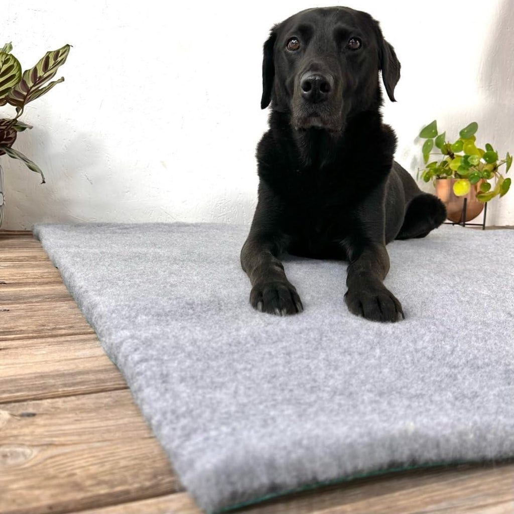SOUL DESTINY Fleece Pet Bedding, Sizes, Rolls and Sample