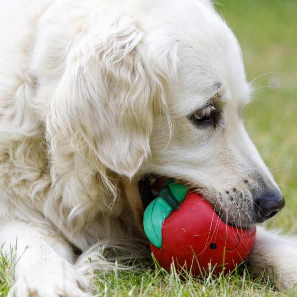 Petface Latex Fruit and Vegetable Dog Toys