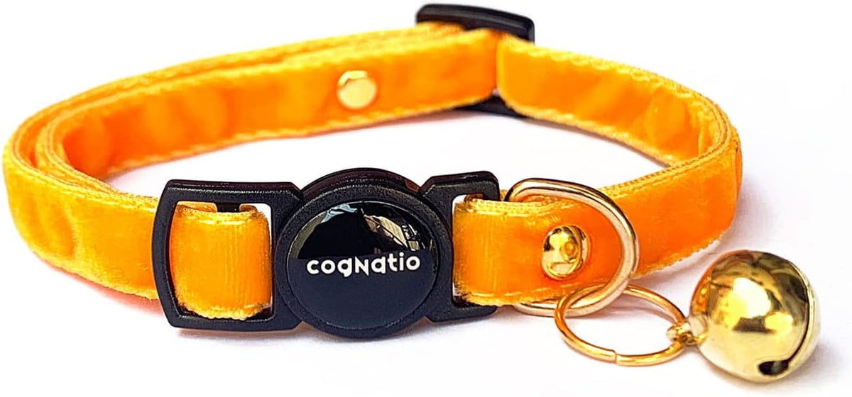 Cognatio Corduroy Breakaway Cat Collar