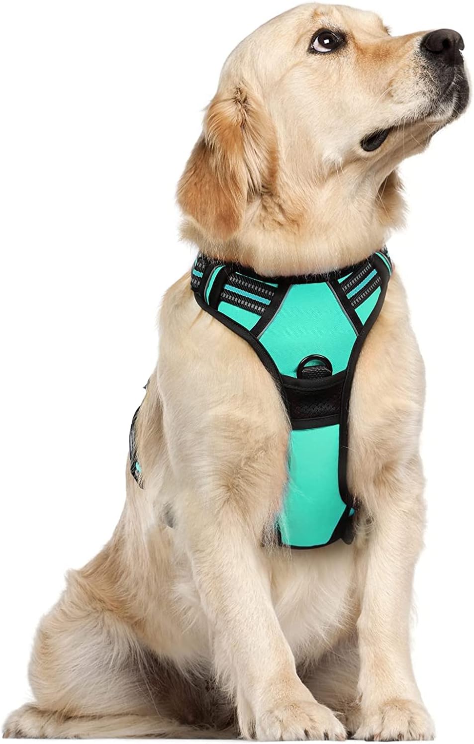 rabbitgoo Padded Dog Harness with Two Lead Clips