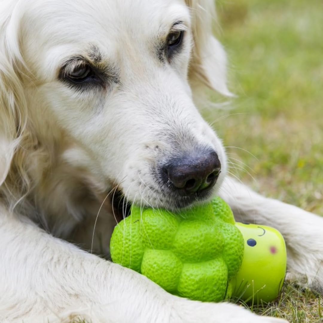 Petface Latex Fruit and Vegetable Dog Toys