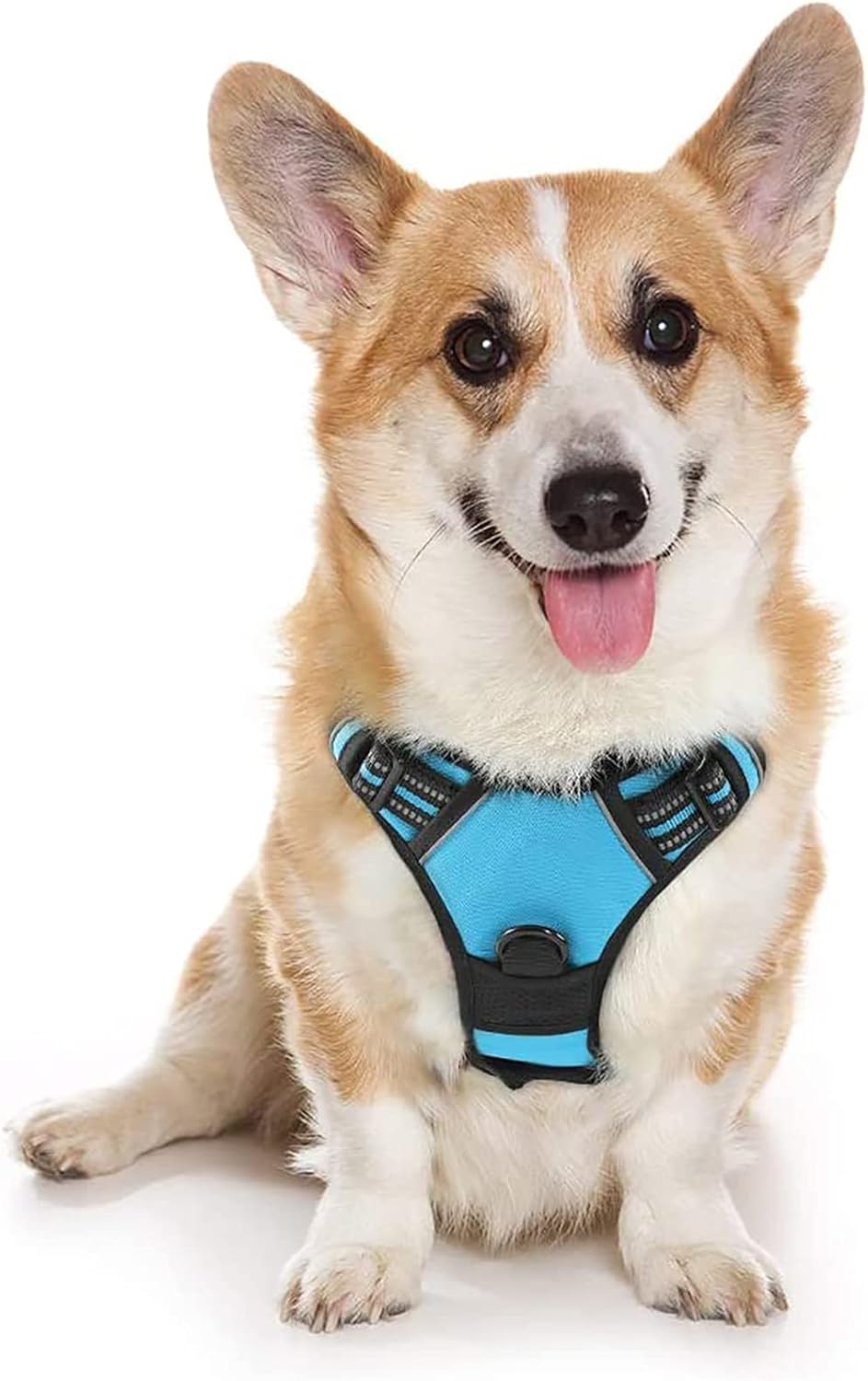 rabbitgoo Padded Dog Harness with Two Lead Clips
