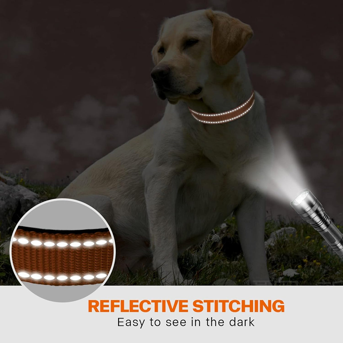 Taglory Reflective Nylon Dog Collar