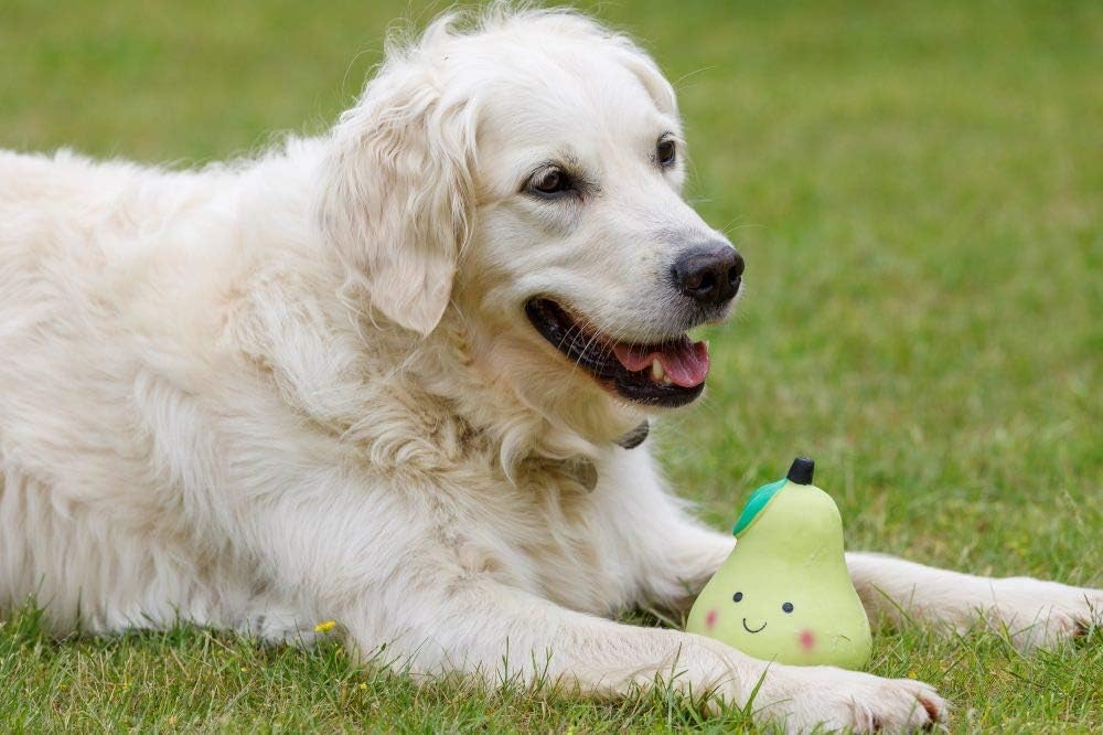 Petface Latex Fruit and Vegetable Dog Toys